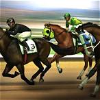 horse bet game